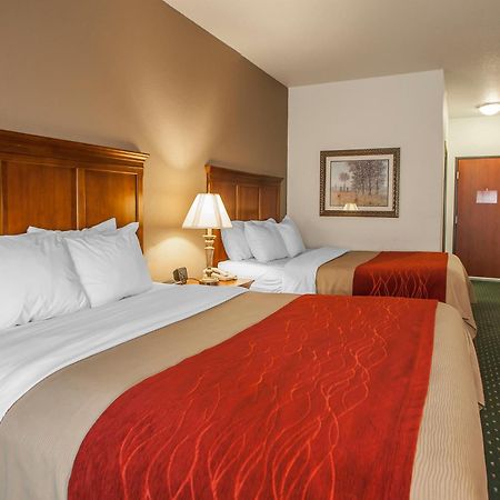 Comfort Inn & Suites Davenport - Quad Cities Dış mekan fotoğraf